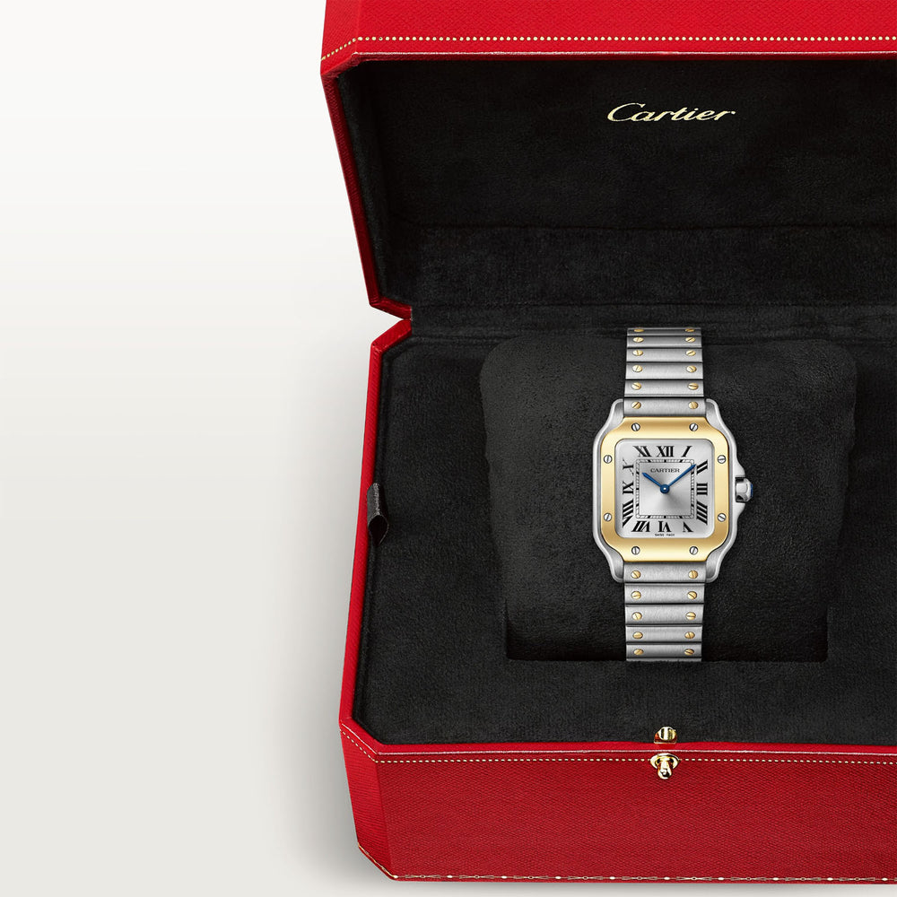 Cartier Santos -  36mm
