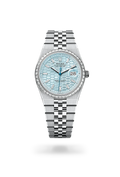 Rolex land-dweller blue